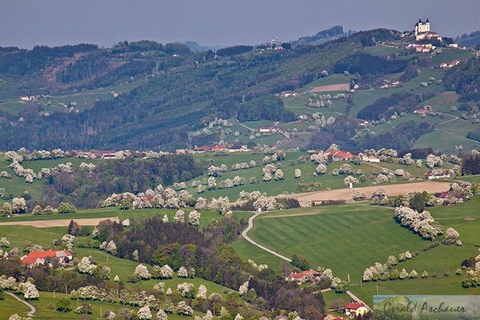 Biberbach Umgebung mit Blick auf den Sonntagberg